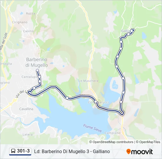 301-3 Bus Line Map