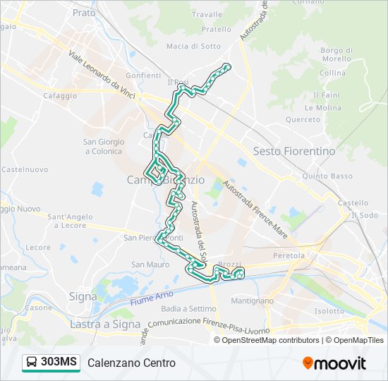 303MS bus Line Map