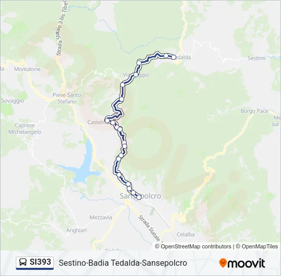 SI393 Bus Line Map