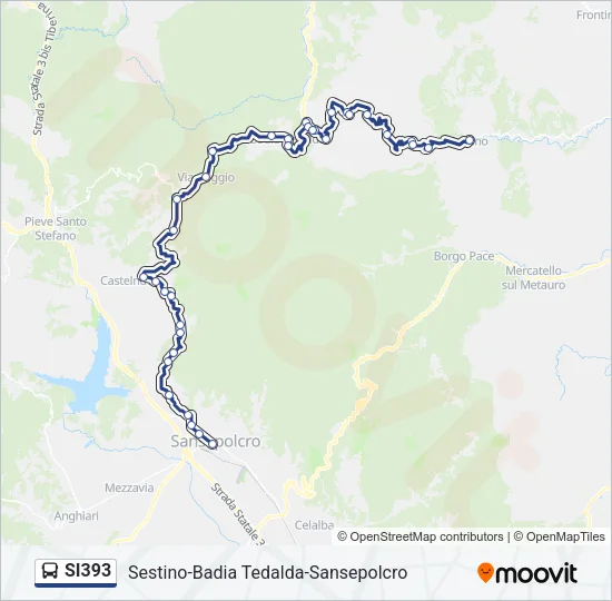 SI393 Bus Line Map