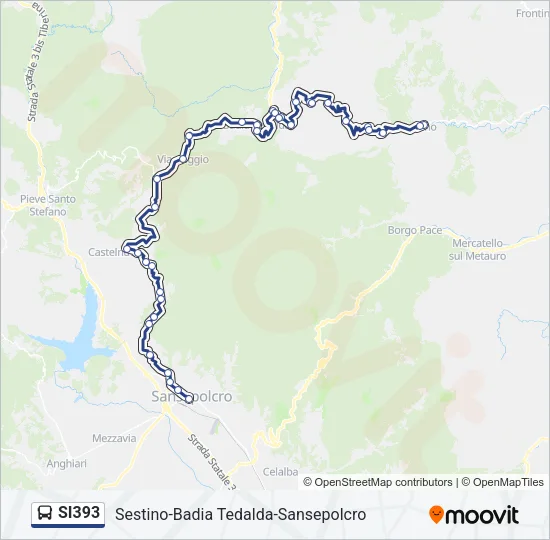 SI393 Bus Line Map