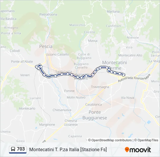 703 Bus Line Map