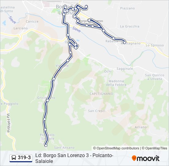 319-3 bus Line Map