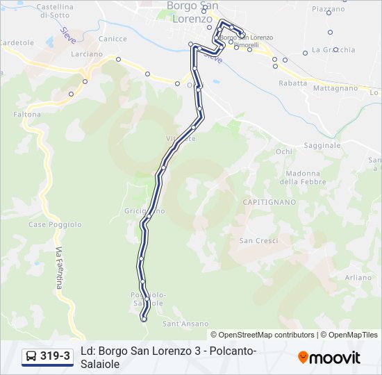 Percorso linea bus 319-3