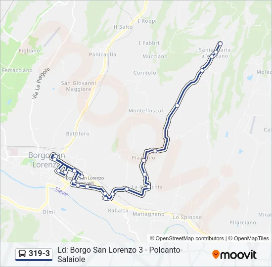 319-3 Bus Line Map