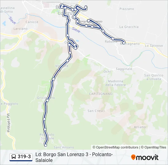 319-3 Bus Line Map