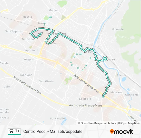 1+ Bus Line Map