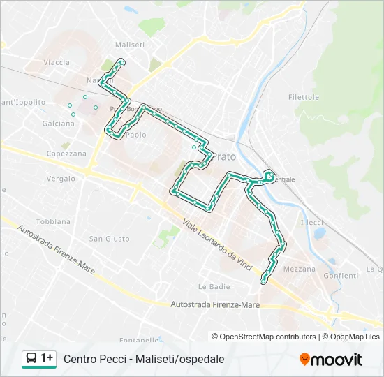 1+ Bus Line Map