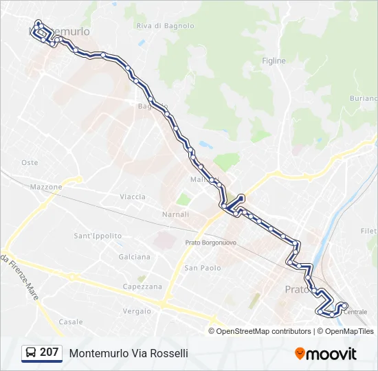 207 Bus Line Map
