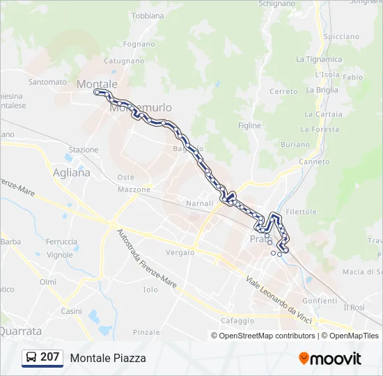 207 Bus Line Map