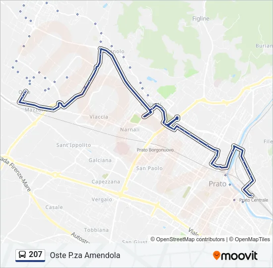 207 Bus Line Map