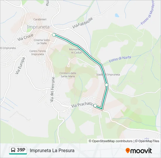 39P Bus Line Map