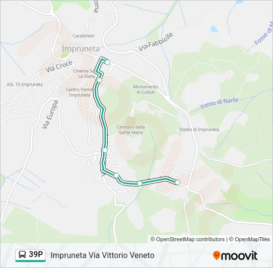39P Bus Line Map
