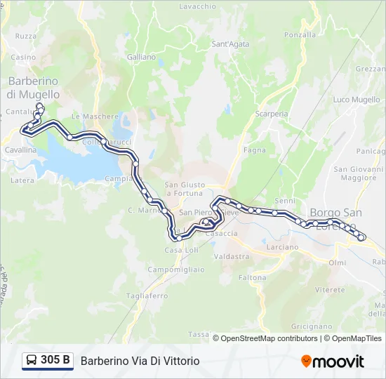 305 B Bus Line Map
