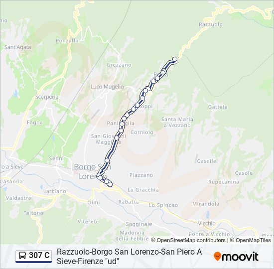 307 C bus Line Map