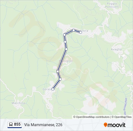 Percorso linea  855