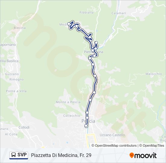 SVP bus Line Map