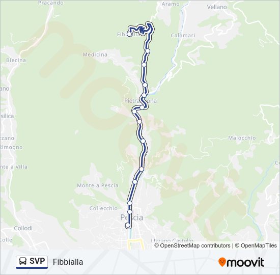 SVP Bus Line Map
