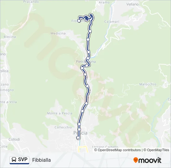 SVP Bus Line Map