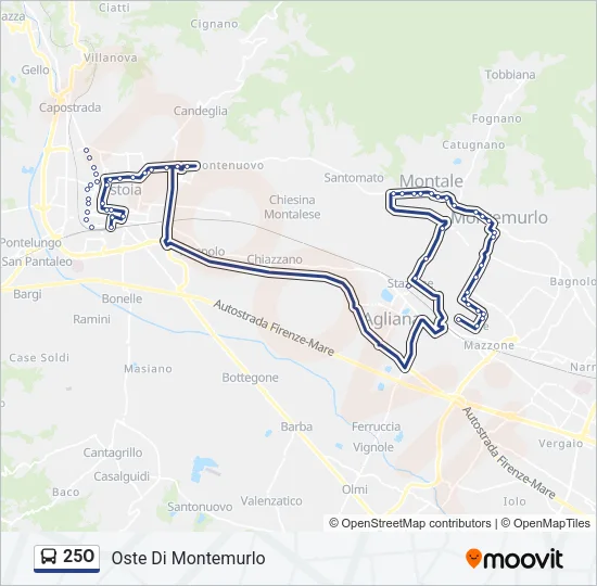 25O Bus Line Map