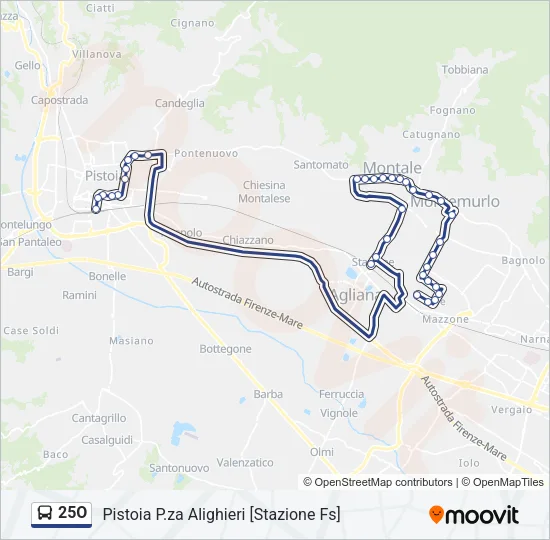 25O Bus Line Map