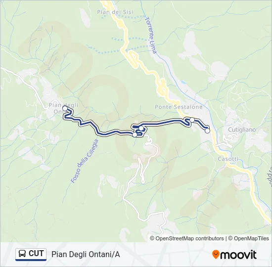 CUT Bus Line Map