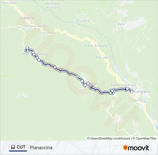 CUT Bus Line Map