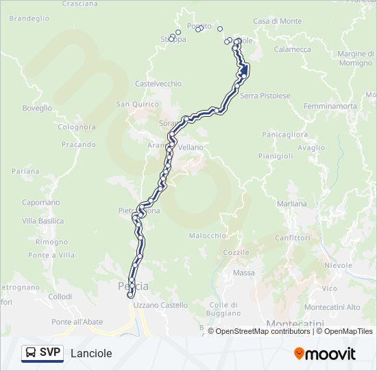 SVP bus Line Map