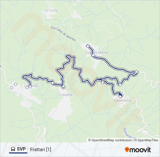 SVP Bus Line Map