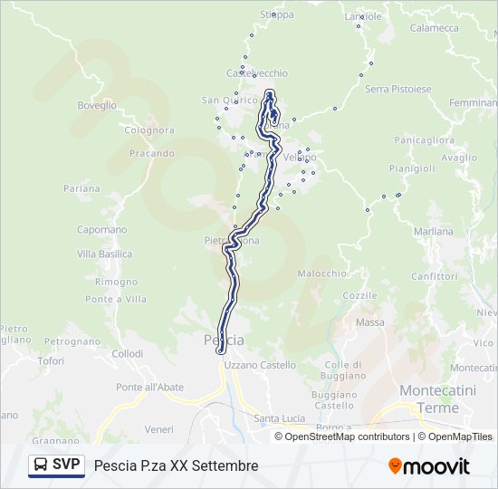SVP Bus Line Map