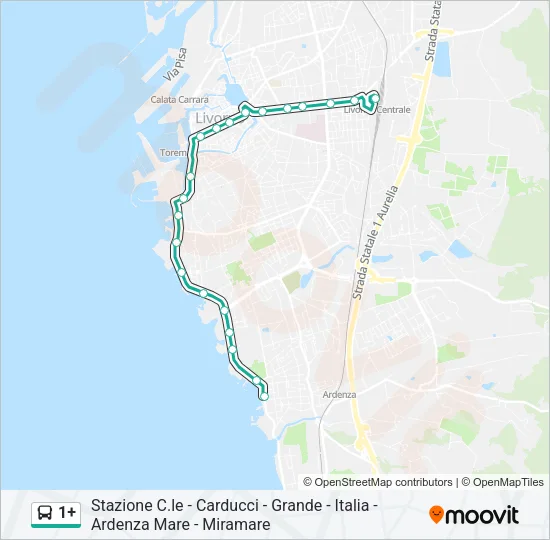 1+ Bus Line Map