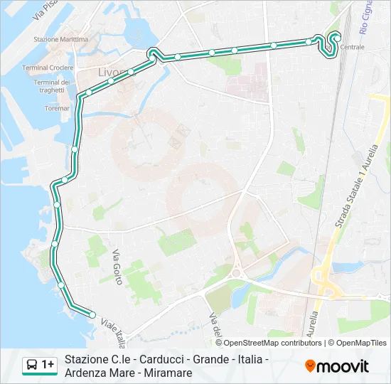 1+ Bus Line Map