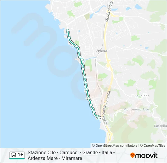 1+ Bus Line Map