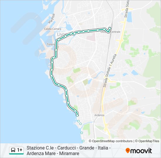 1+ Bus Line Map
