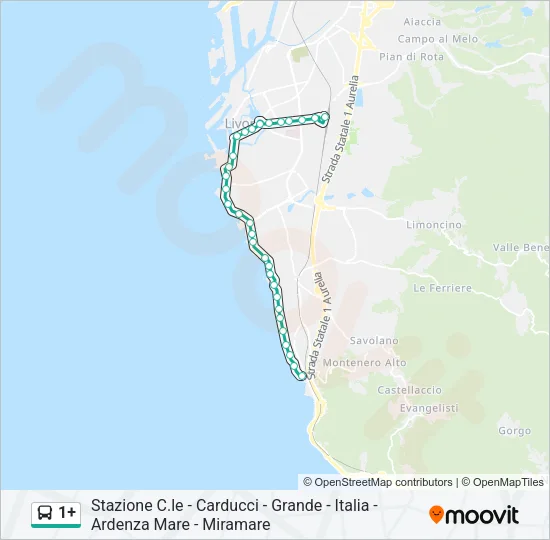 1+ Bus Line Map