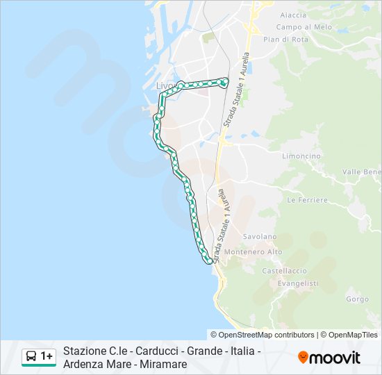 1+ bus Line Map