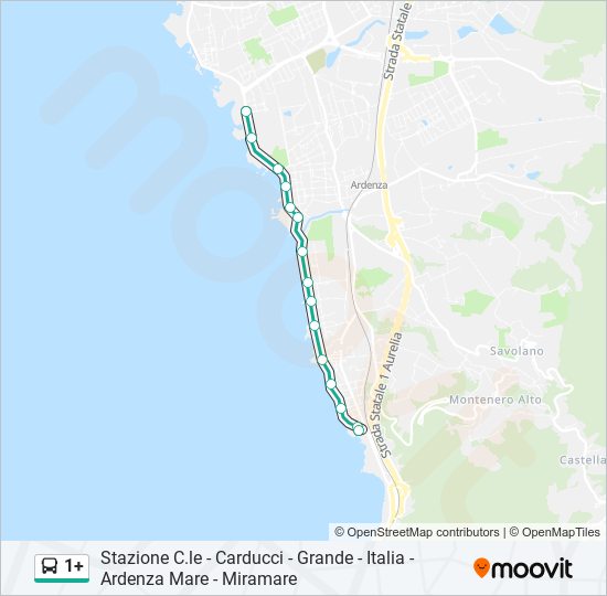 1+ bus Line Map