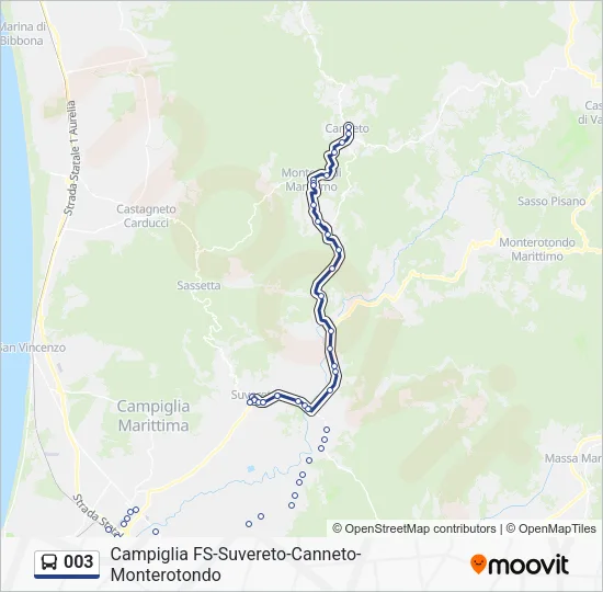 003 Bus Line Map