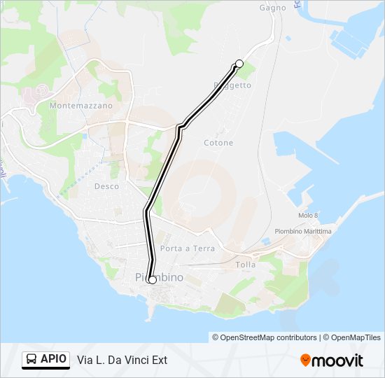 APIO bus Line Map