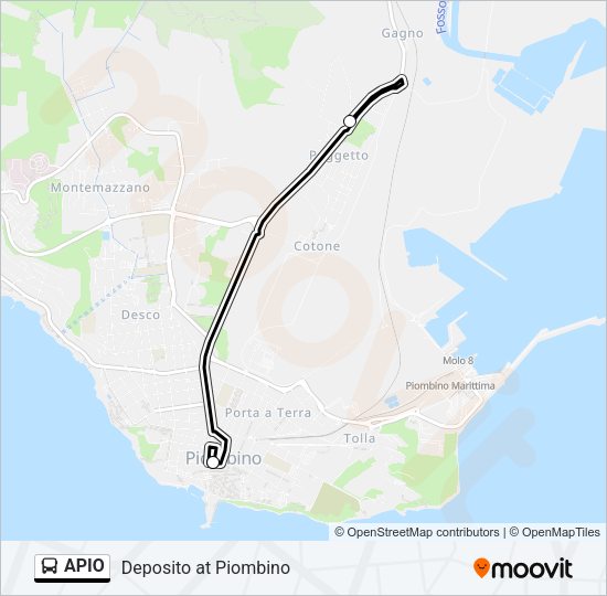 APIO Bus Line Map