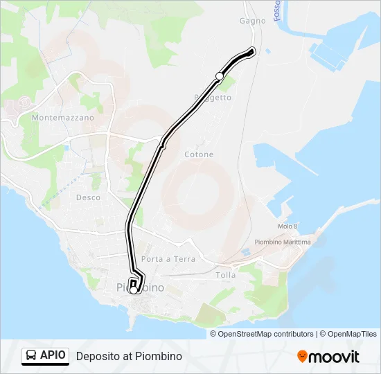 APIO Bus Line Map