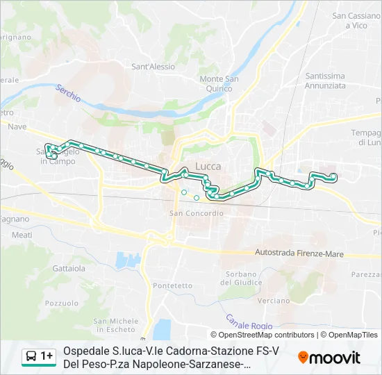 1+ Bus Line Map