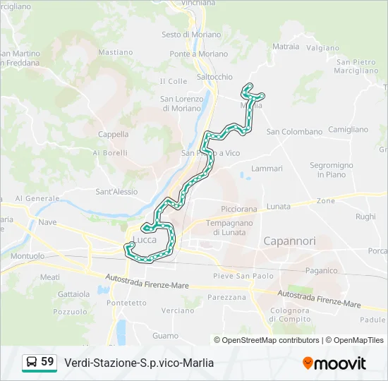 59 Bus Line Map
