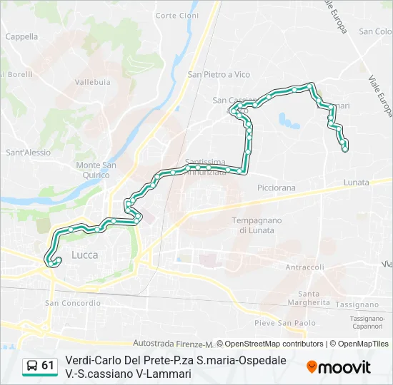 61 Bus Line Map