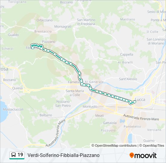 19 Bus Line Map