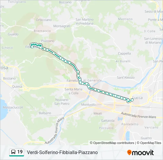 19 Bus Line Map