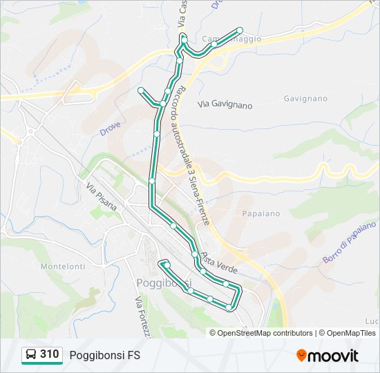 310 Bus Line Map