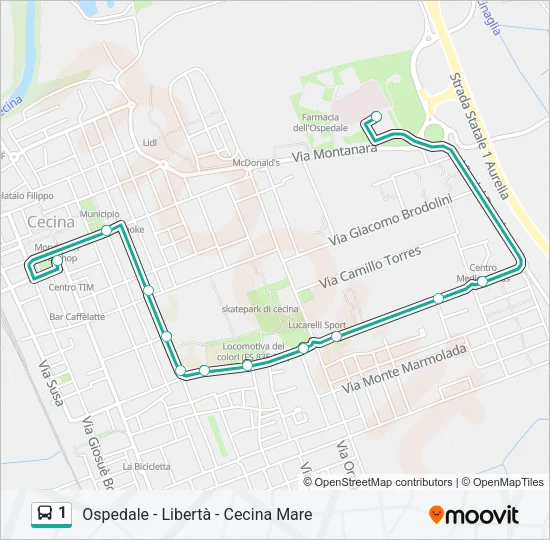 1 Bus Line Map