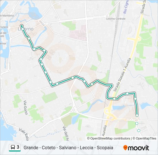 3 Bus Line Map