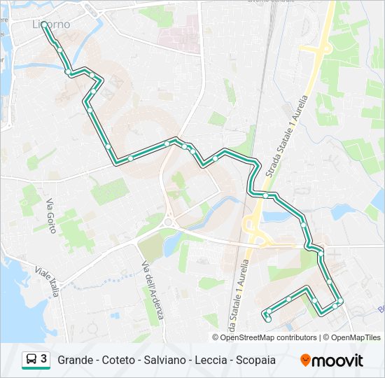 3 Bus Line Map